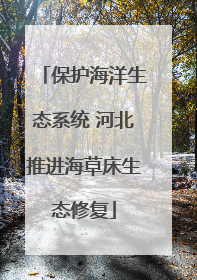 保护海洋生态系统 河北推进海草床生态修复