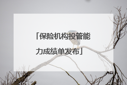 保险机构投管能力成绩单发布