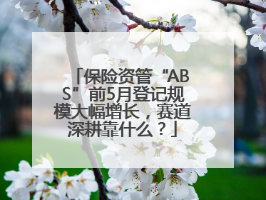 保险资管“ABS”前5月登记规模大幅增长，赛道深耕靠什么？