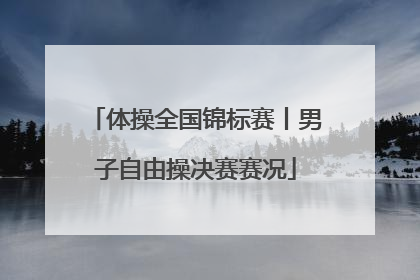 体操全国锦标赛丨男子自由操决赛赛况