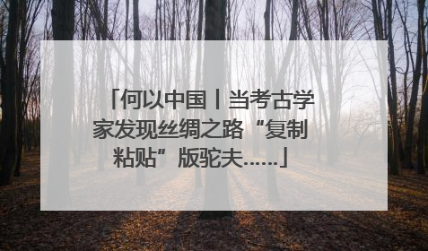 何以中国丨当考古学家发现丝绸之路“复制粘贴”版驼夫……