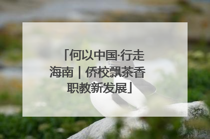 何以中国·行走海南｜侨校飘茶香 职教新发展