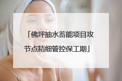 佛坪抽水蓄能项目攻节点精细管控保工期