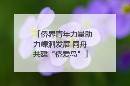侨界青年力量助力嵊泗发展 同舟共建“侨爱岛”