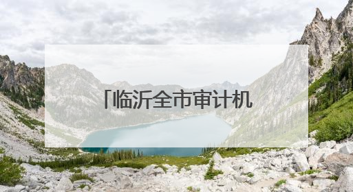 临沂全市审计机关积极在统筹推进基层监督体系建设中发挥职能作用