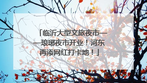 临沂大型文旅夜市——琅琊夜市开业！河东再添网红打卡地！