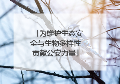 为维护生态安全与生物多样性贡献公安力量
