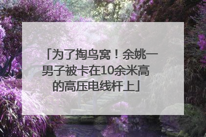 为了掏鸟窝！余姚一男子被卡在10余米高的高压电线杆上