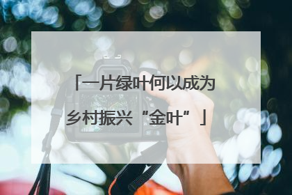 一片绿叶何以成为乡村振兴“金叶”
