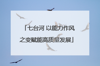 七台河 以能力作风之变赋能高质量发展