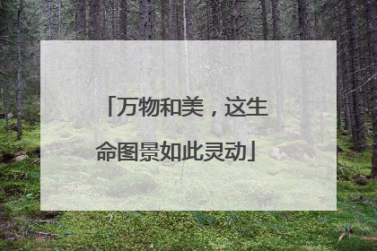 万物和美，这生命图景如此灵动