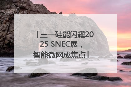 三一硅能闪耀2025 SNEC展，智能微网成焦点
