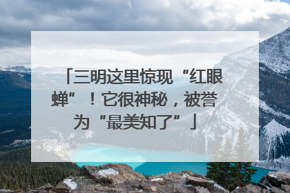 三明这里惊现“红眼蝉”！它很神秘，被誉为“最美知了”