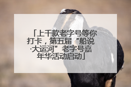 上千款老字号等你打卡，第五届“船说·大运河”老字号嘉年华活动启动