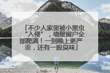 不少人家里被小黑虫“入侵”，墙壁窗户全部爬满！一到晚上更严重，还有一股臭味