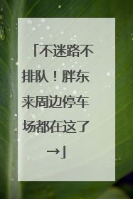 不迷路不排队！胖东来周边停车场都在这了→