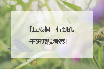 丘成桐一行到孔子研究院考察