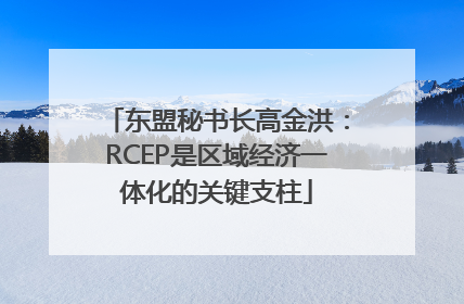 东盟秘书长高金洪：RCEP是区域经济一体化的关键支柱