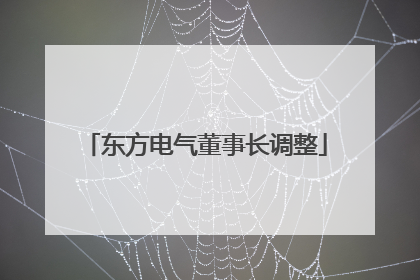 东方电气董事长调整