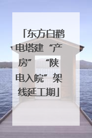 东方白鹳电塔建“产房” “陕电入皖”架线延工期