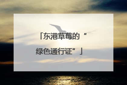 东港草莓的“绿色通行证”
