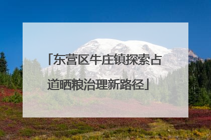 东营区牛庄镇探索占道晒粮治理新路径