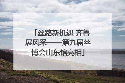 丝路新机遇 齐鲁展风采——第九届丝博会山东馆亮相