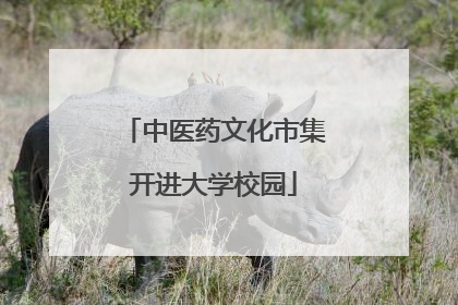 中医药文化市集开进大学校园
