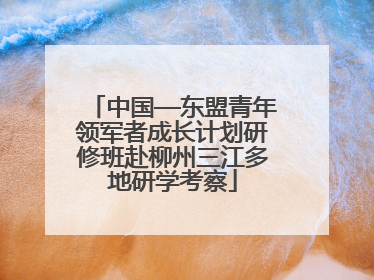 中国—东盟青年领军者成长计划研修班赴柳州三江多地研学考察