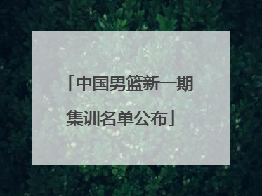 中国男篮新一期集训名单公布