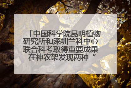 中国科学院昆明植物研究所和深圳兰科中心联合科考取得重要成果 在神农架发现两种“国保”级兰花