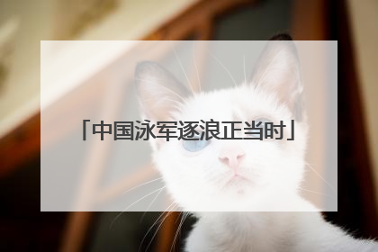中国泳军逐浪正当时