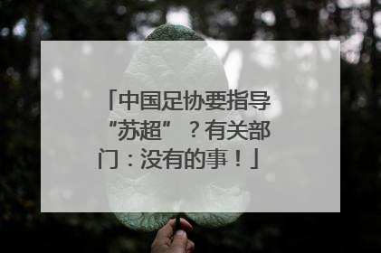 中国足协要指导“苏超”？有关部门：没有的事！