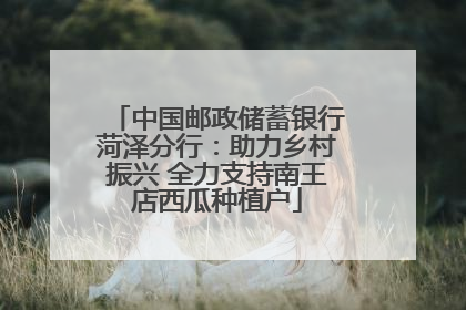 中国邮政储蓄银行菏泽分行：助力乡村振兴 全力支持南王店西瓜种植户