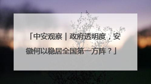 中安观察｜政府透明度，安徽何以稳居全国第一方阵？