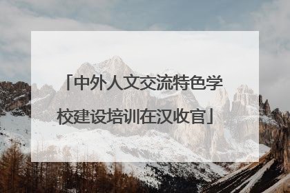 中外人文交流特色学校建设培训在汉收官
