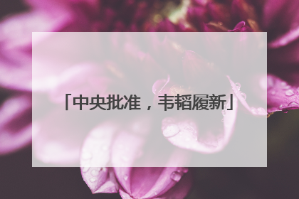 中央批准，韦韬履新