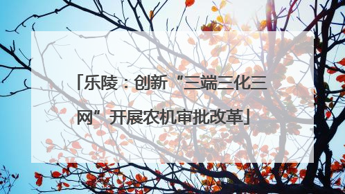 乐陵：创新“三端三化三网”开展农机审批改革