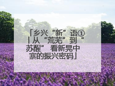 乡兴“新”语①丨从“荒芜”到“苏醒” 看新晃中寨的振兴密码