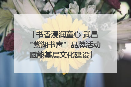 书香浸润童心 武昌“紫湖书声”品牌活动赋能基层文化建设
