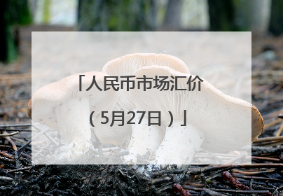 人民币市场汇价（5月27日）