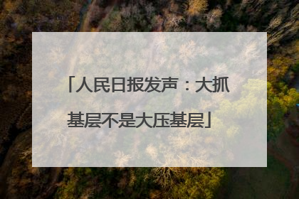 人民日报发声：大抓基层不是大压基层