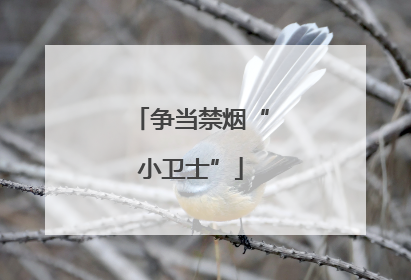 争当禁烟“小卫士”