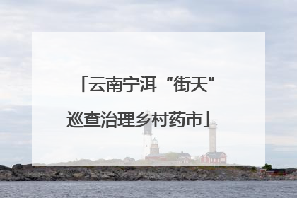 云南宁洱“街天”巡查治理乡村药市