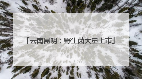 云南昆明：野生菌大量上市