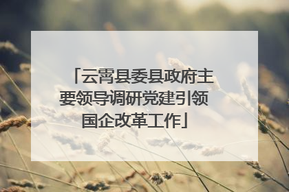 云霄县委县政府主要领导调研党建引领国企改革工作