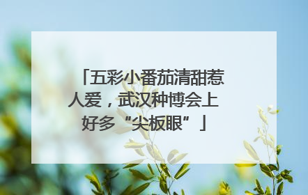 五彩小番茄清甜惹人爱，武汉种博会上好多“尖板眼”