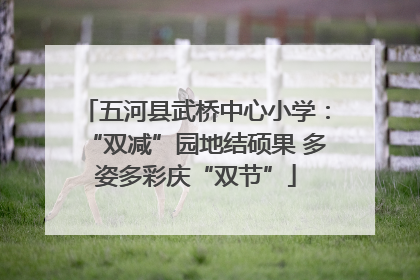 五河县武桥中心小学：“双减”园地结硕果 多姿多彩庆“双节”