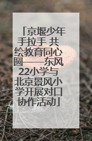 京堰少年手拉手 共绘教育同心圆——东风22小学与北京景风小学开展对口协作活动