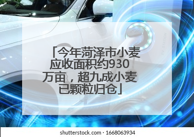 今年菏泽市小麦应收面积约930万亩，超九成小麦已颗粒归仓